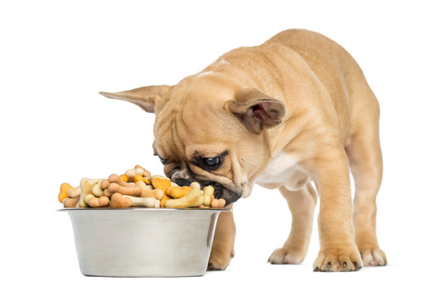 Best frenchie dog clearance food