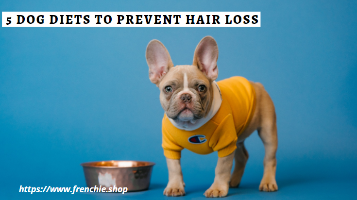 Prevent dog cheap hair loss