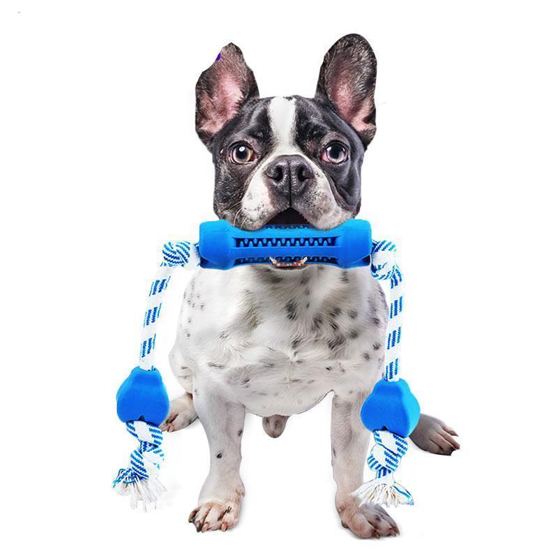 French Bulldog Toys: Top Playtime Essentials Revealed!