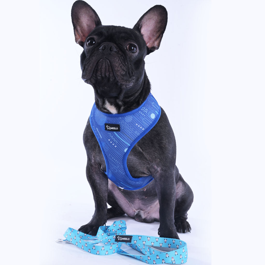 Sport Chic Dog Harness – Midnight Blue - French Bullevard