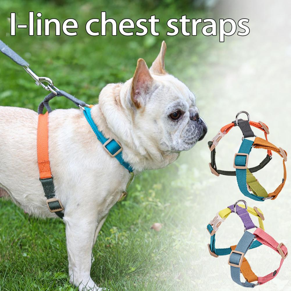 Frenchie hot sale strap harness