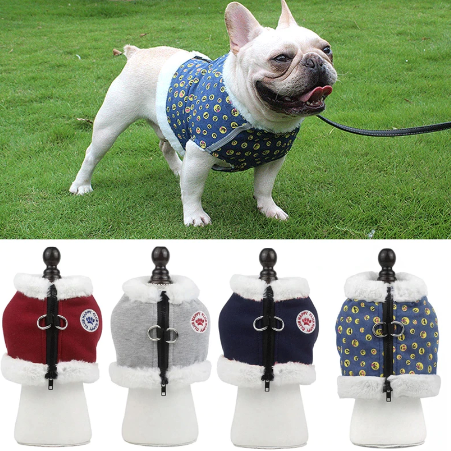 French bulldog harness and winter coat - control and comfort with