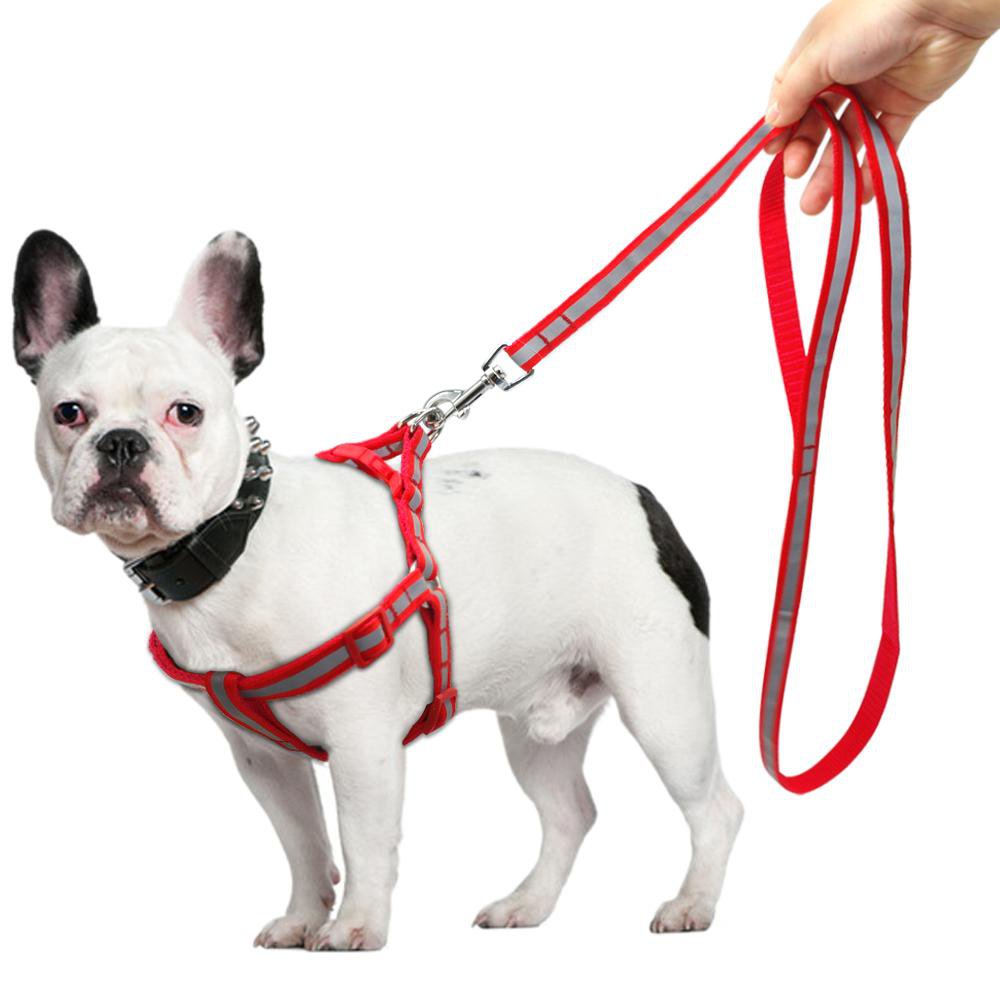 Dog Harness & Leash Set