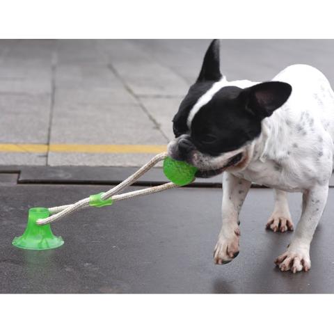 Buy Wholesale China Suction Cup Dog Toy For Aggressive Chewers