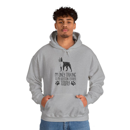 Bullet  - Unisex Hoodie for Boston Terrier lovers