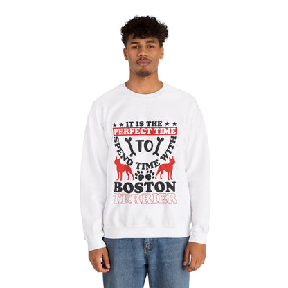 Celtic  - Unisex Sweatshirt for Boston Terrier lovers