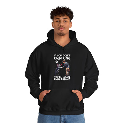 Sinatra - Unisex Hoodie for Boston Terrier lovers