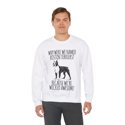 Rizzo  - Unisex Sweatshirt for Boston Terrier lovers