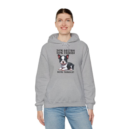 Celtic  - Unisex Hoodie for Boston Terrier lovers