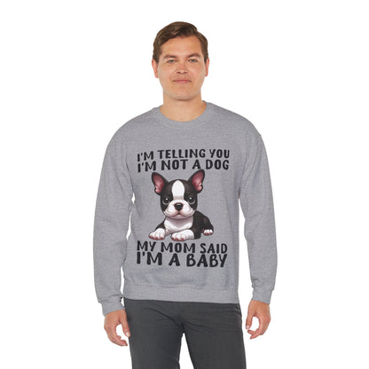 Isla - Unisex Sweatshirt for Boston Terrier lovers