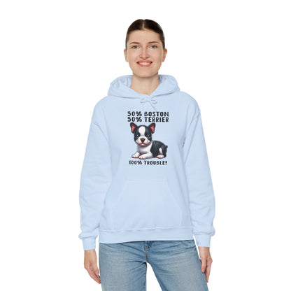 Celtic  - Unisex Hoodie for Boston Terrier lovers