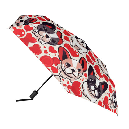 Paisley - Umbrella