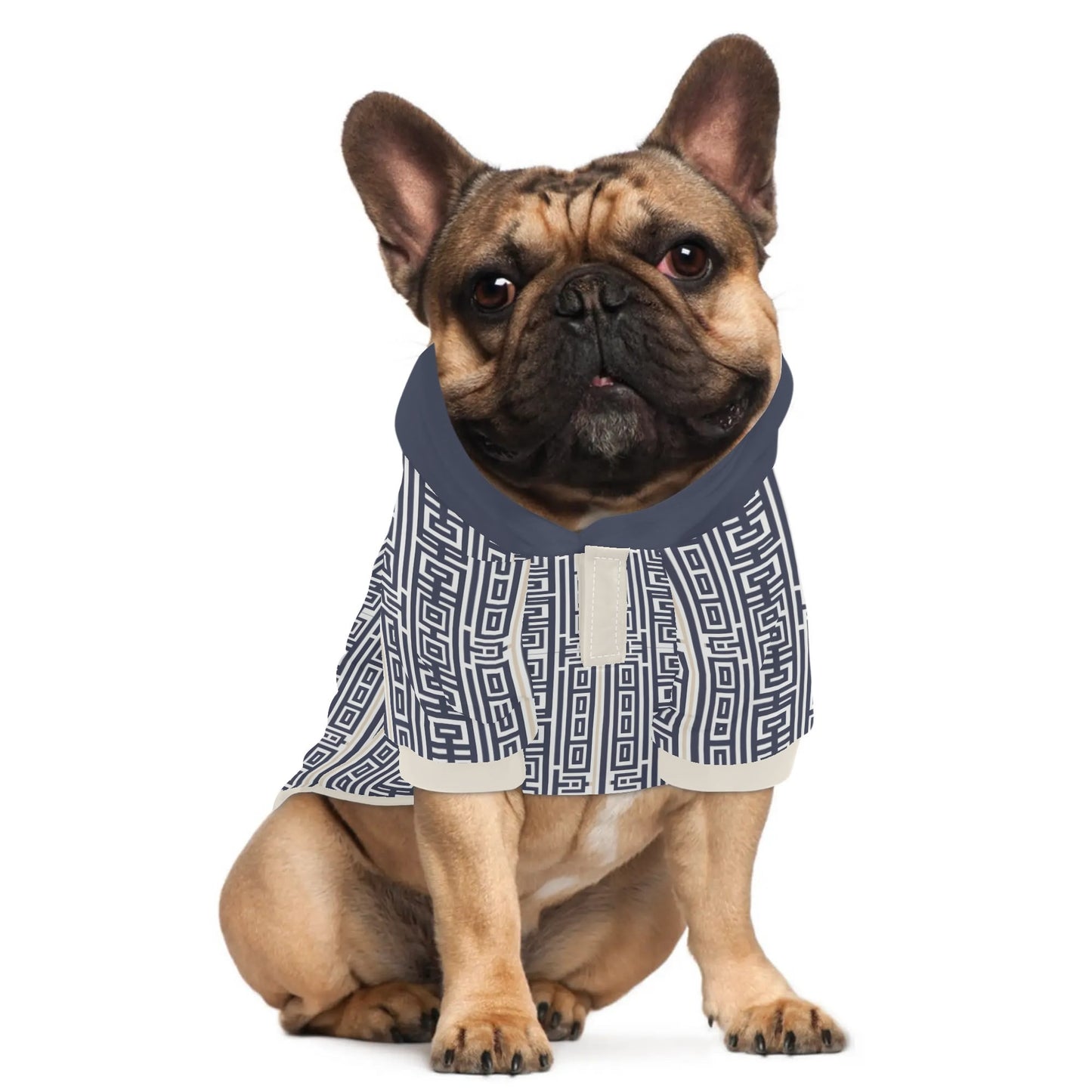 Bruno - Hoodies for French Bulldog  | Frenchie Shop Original