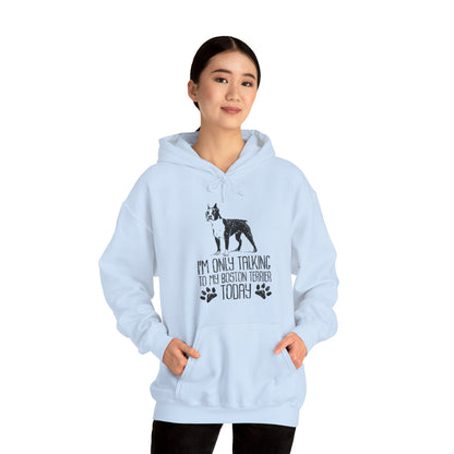 Bullet  - Unisex Hoodie for Boston Terrier lovers