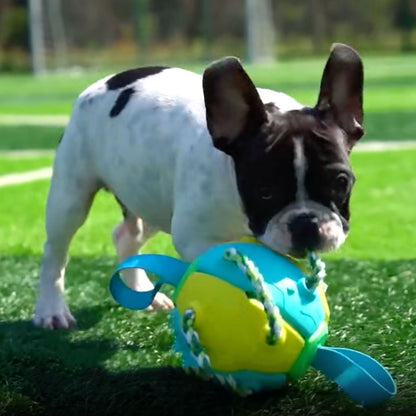 Interactive Frenchie Soccer Ball With Tabs Inflated Training Toy - French Bulldog Shop