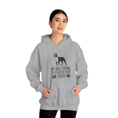 Bullet  - Unisex Hoodie for Boston Terrier lovers