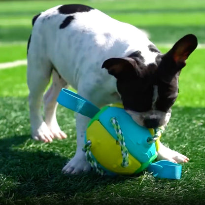 Interactive Frenchie Soccer Ball With Tabs Inflated Training Toy - French Bulldog Shop