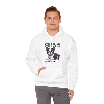 Celtic  - Unisex Hoodie for Boston Terrier lovers