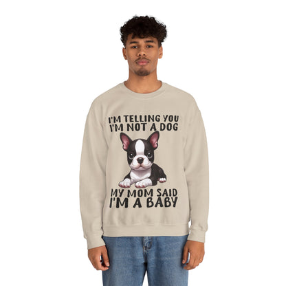 Isla - Unisex Sweatshirt for Boston Terrier lovers