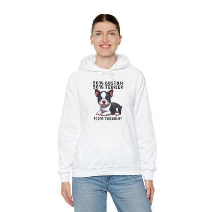 Celtic  - Unisex Hoodie for Boston Terrier lovers