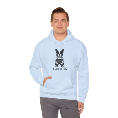 Twinkie - Unisex Hoodie for Boston Terrier lovers