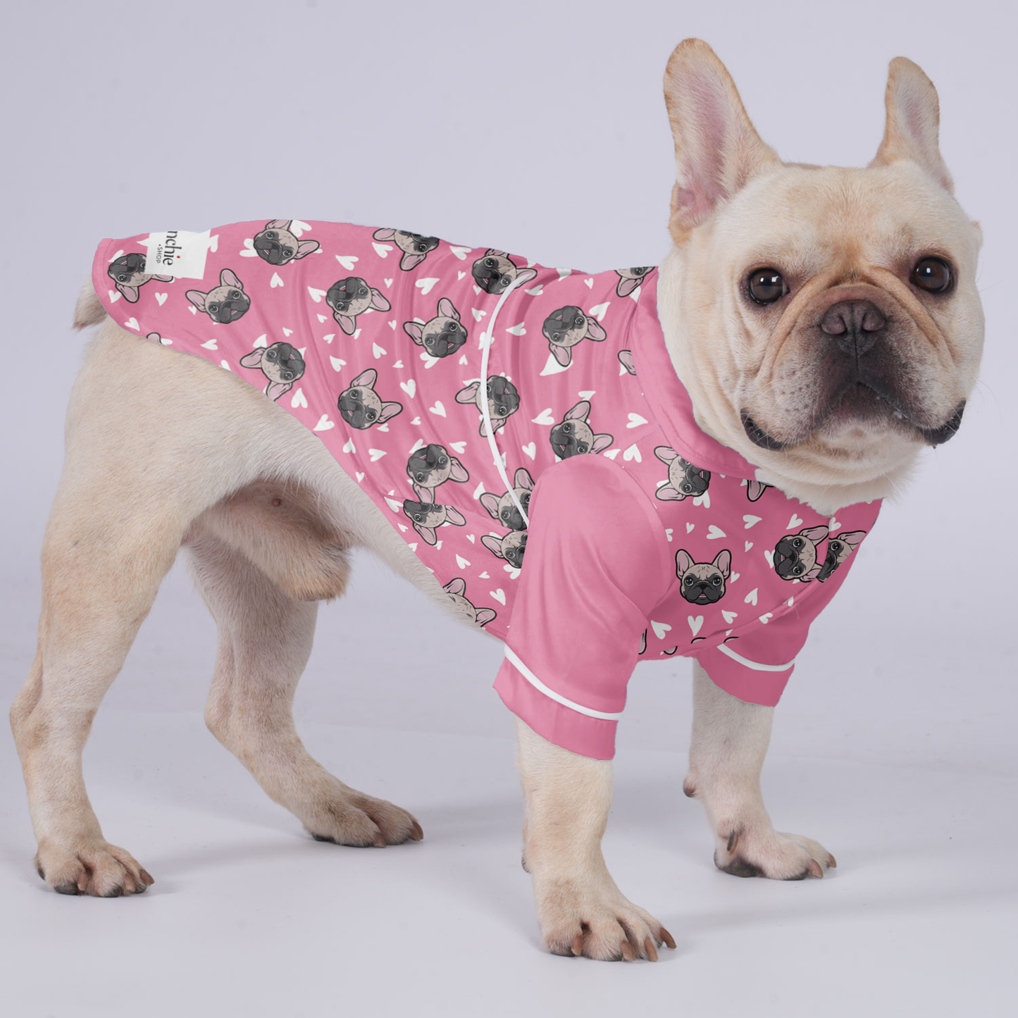 Danton - Pajamas for French bulldog