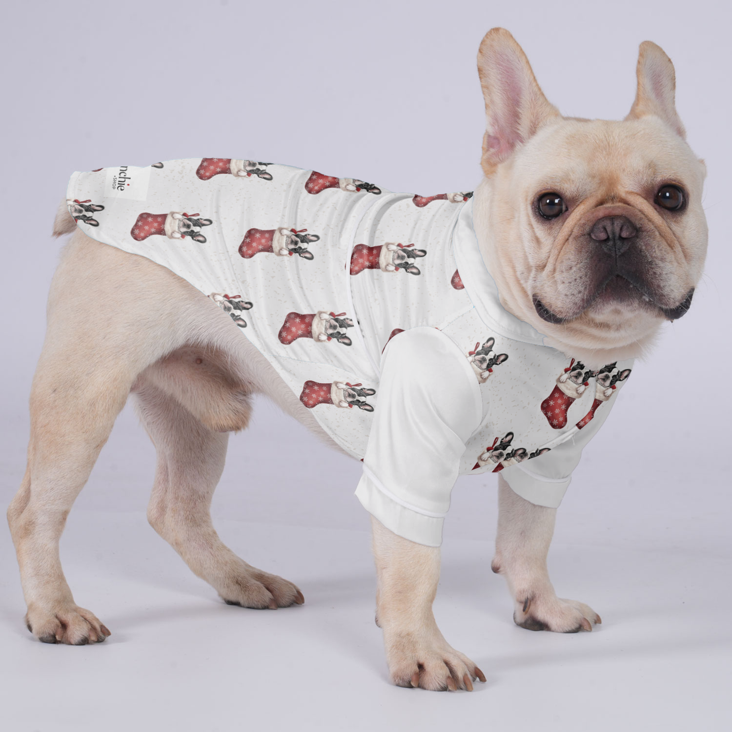 Rio - Pajamas for French bulldog