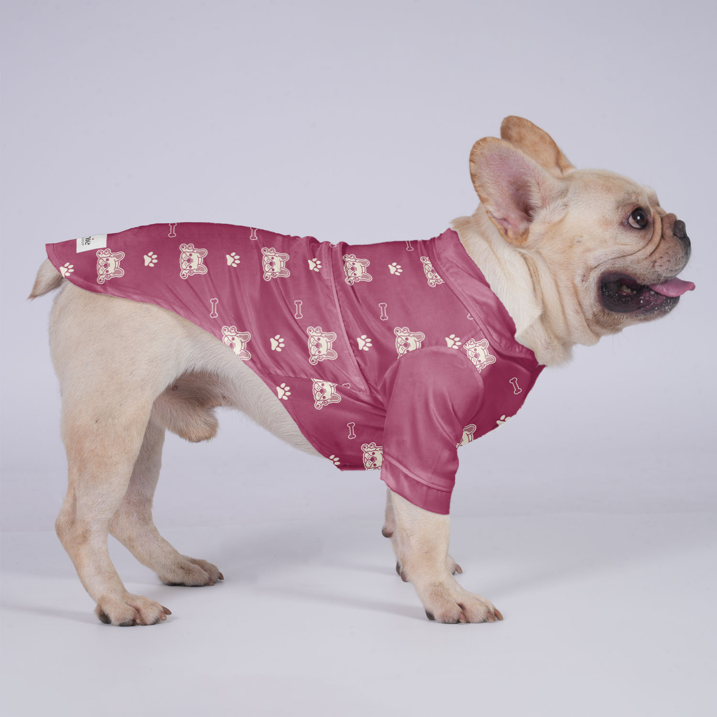 Widget - Hawaiian Shirt for Frenchies