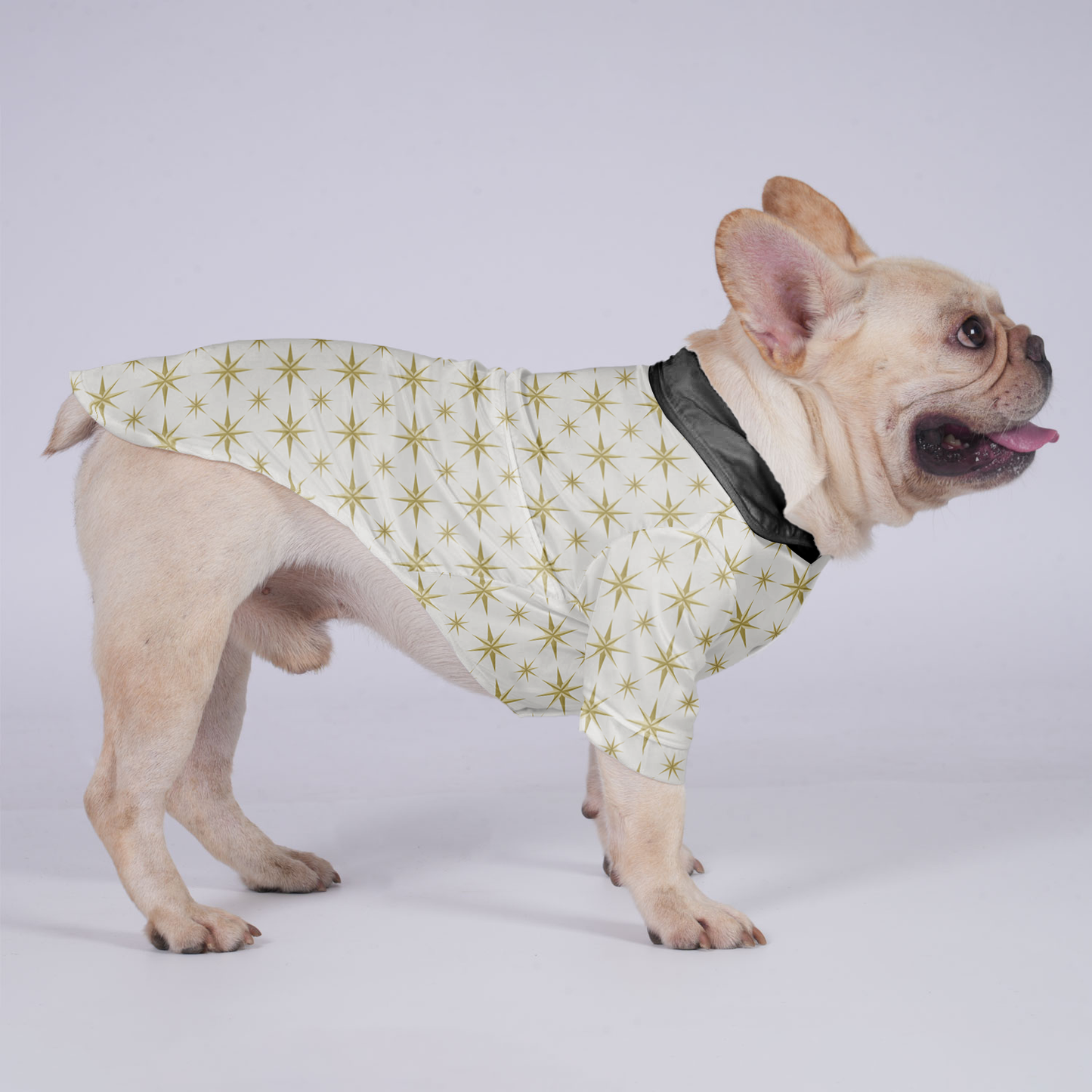 Melo - Hawaiian Shirt for Frenchies