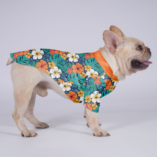 Gracie - Hawaiian Shirt for Frenchies