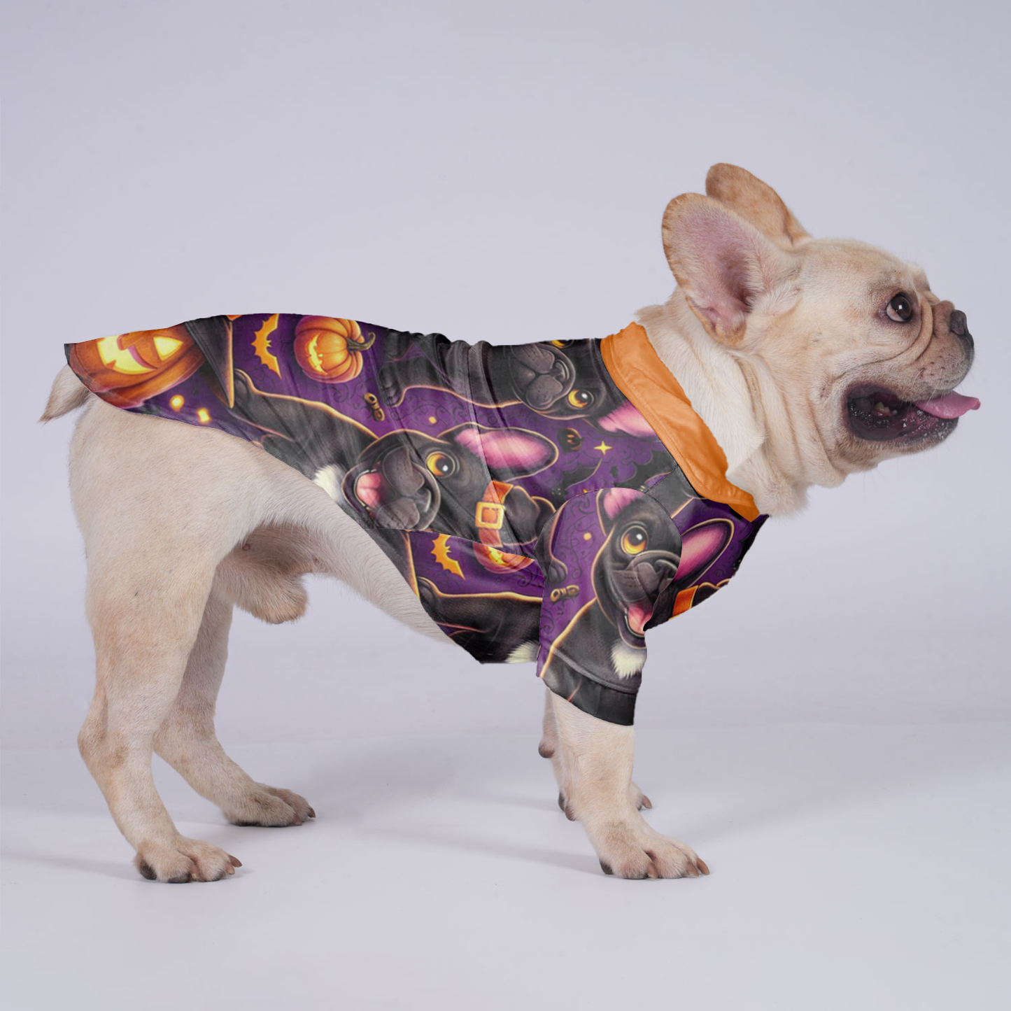 Dixie - Hawaiian Shirt for Frenchies