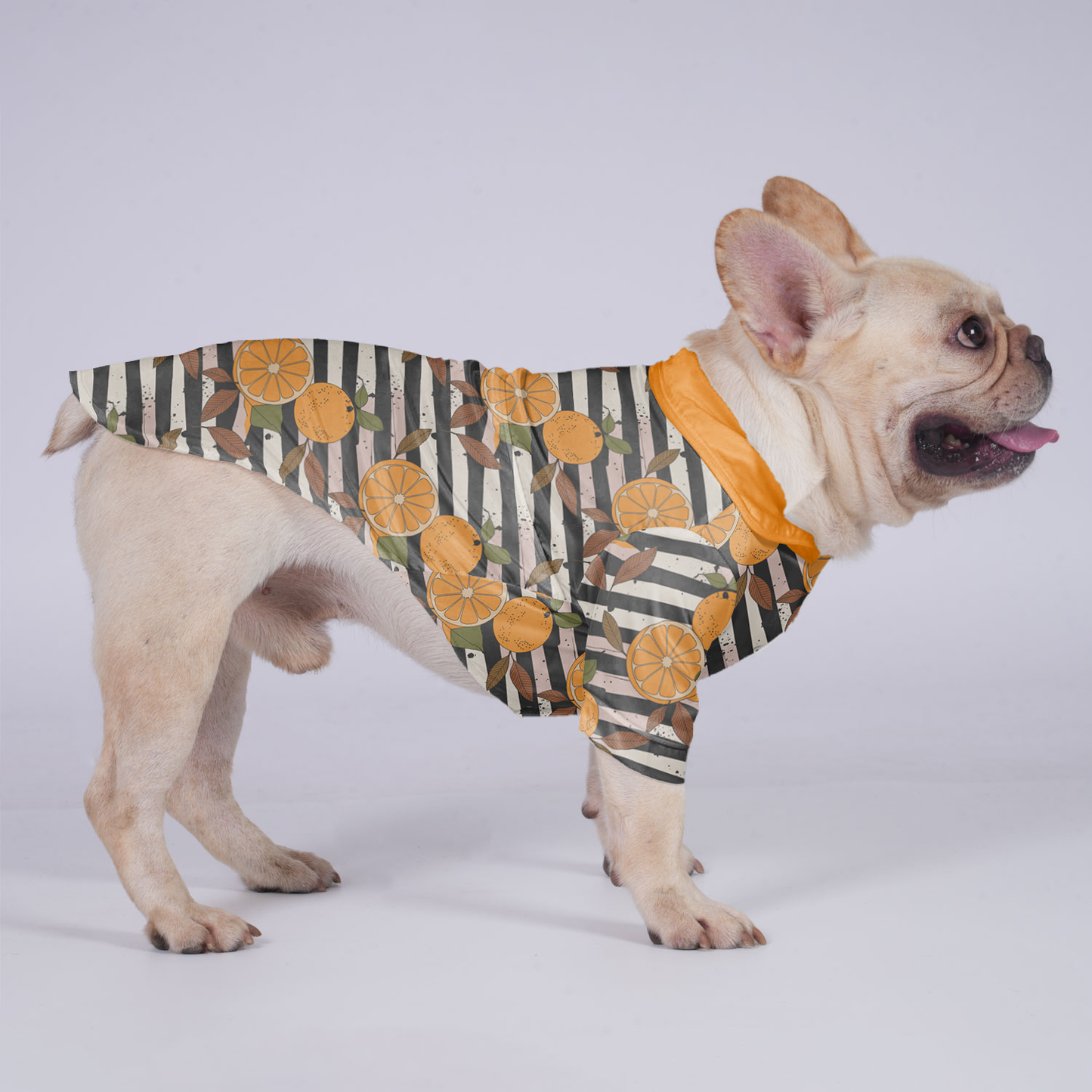 Bruno - Hawaiian Shirt for Frenchies