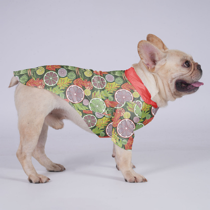 Loki - Hawaiian Shirt for Frenchies