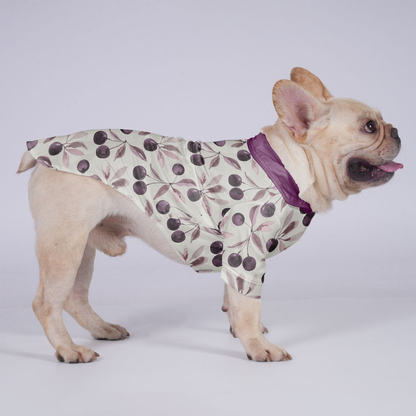 Louie - Hawaiian Shirt for Frenchies