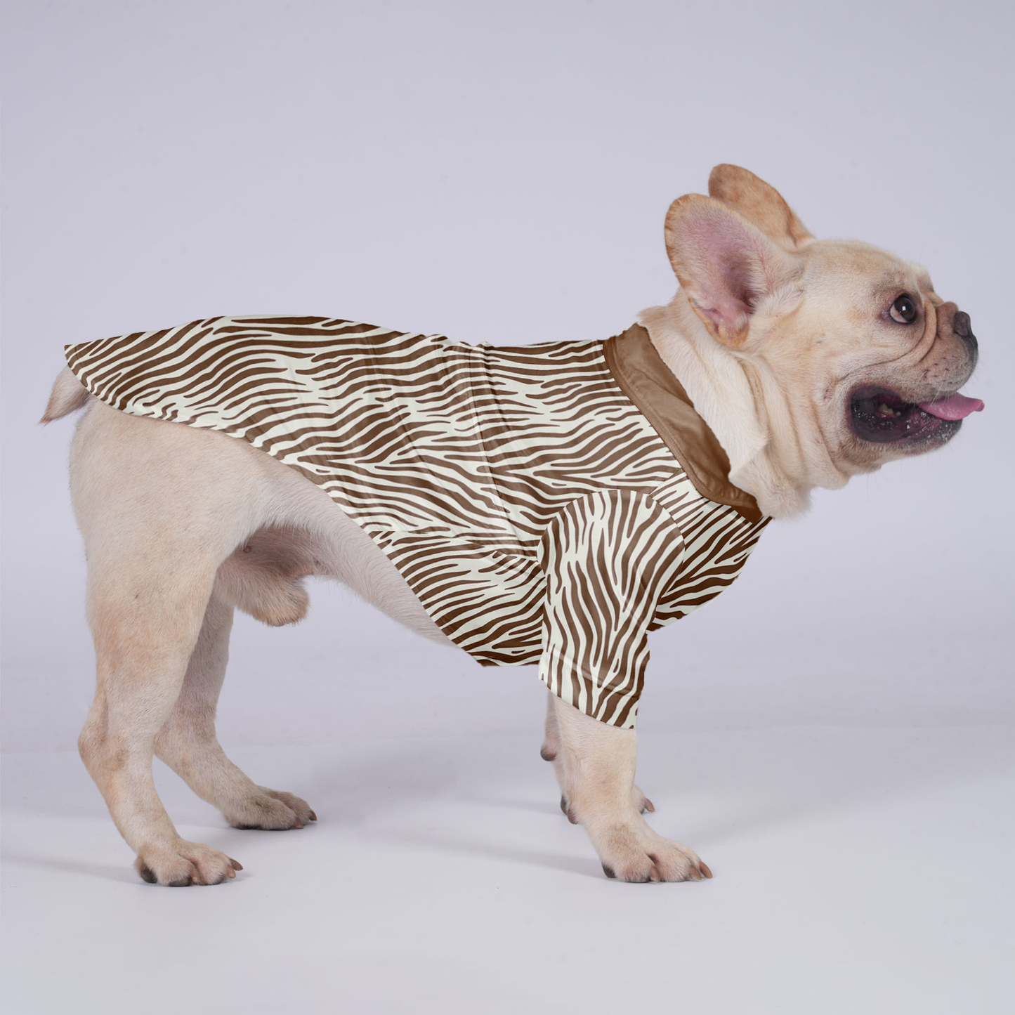 Nova - Hawaiian Shirt for Frenchies