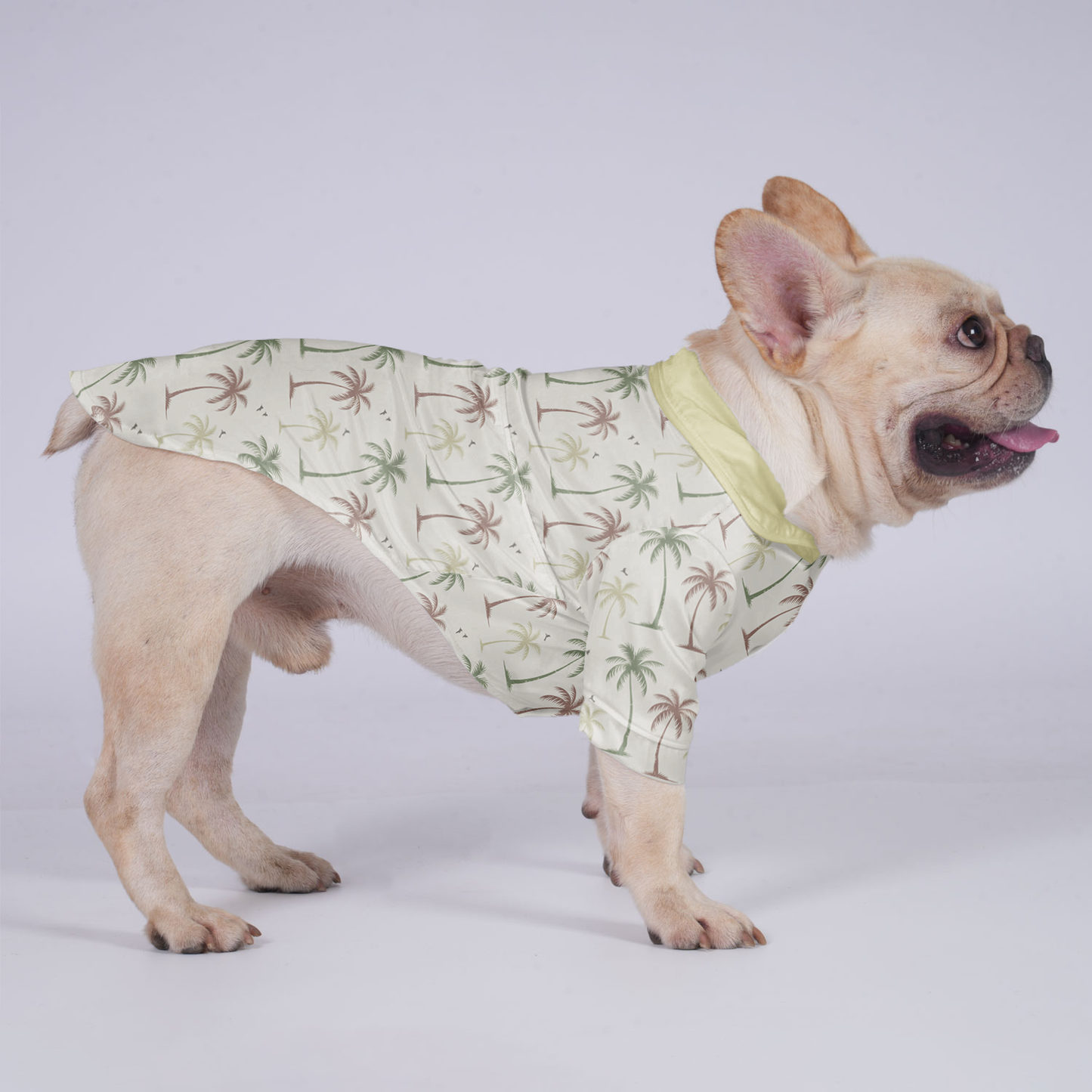 Ginger - Hawaiian Shirt for Frenchies