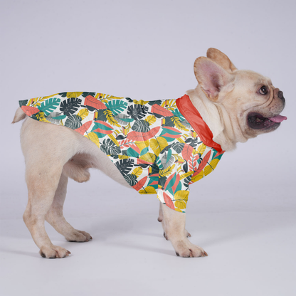 Koda - Hawaiian Shirt for Frenchies