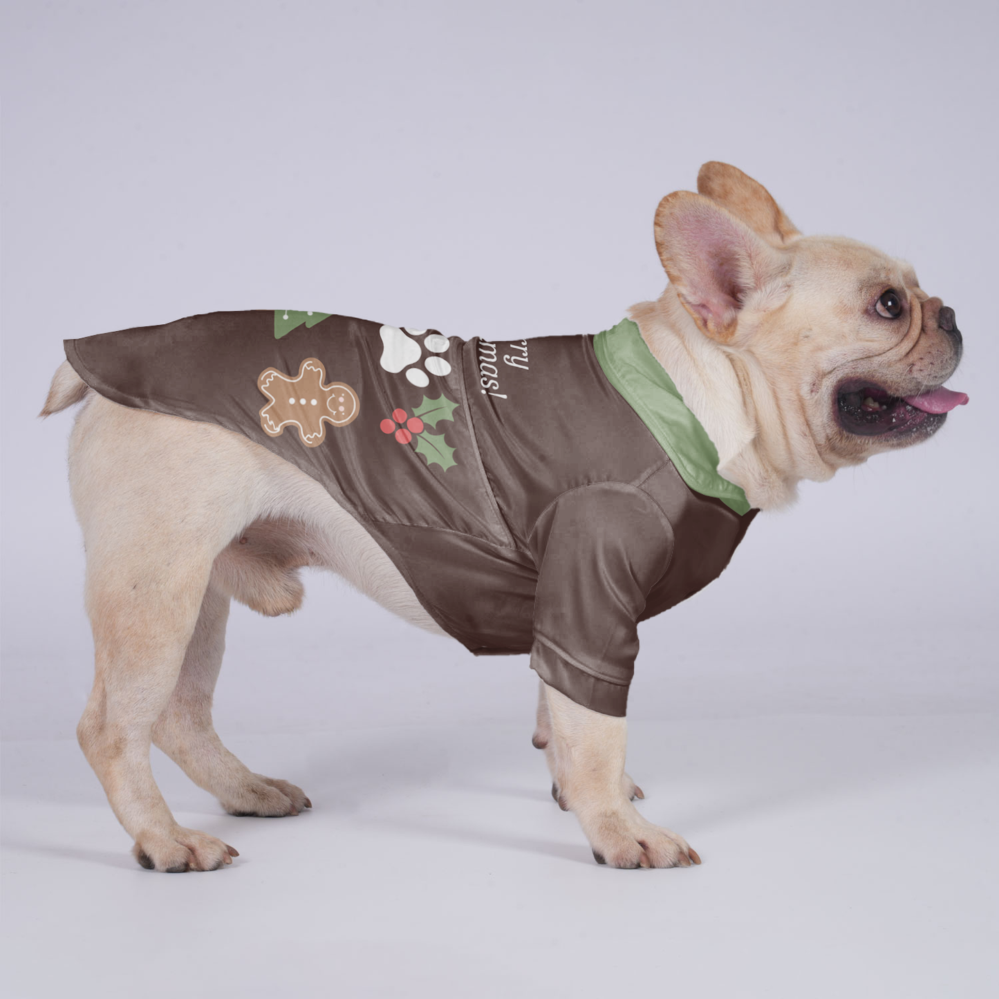 Rocky - Hawaiian Shirt for Frenchies