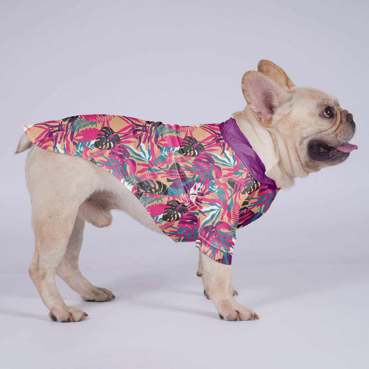 Lulu - Hawaiian Shirt for Frenchies