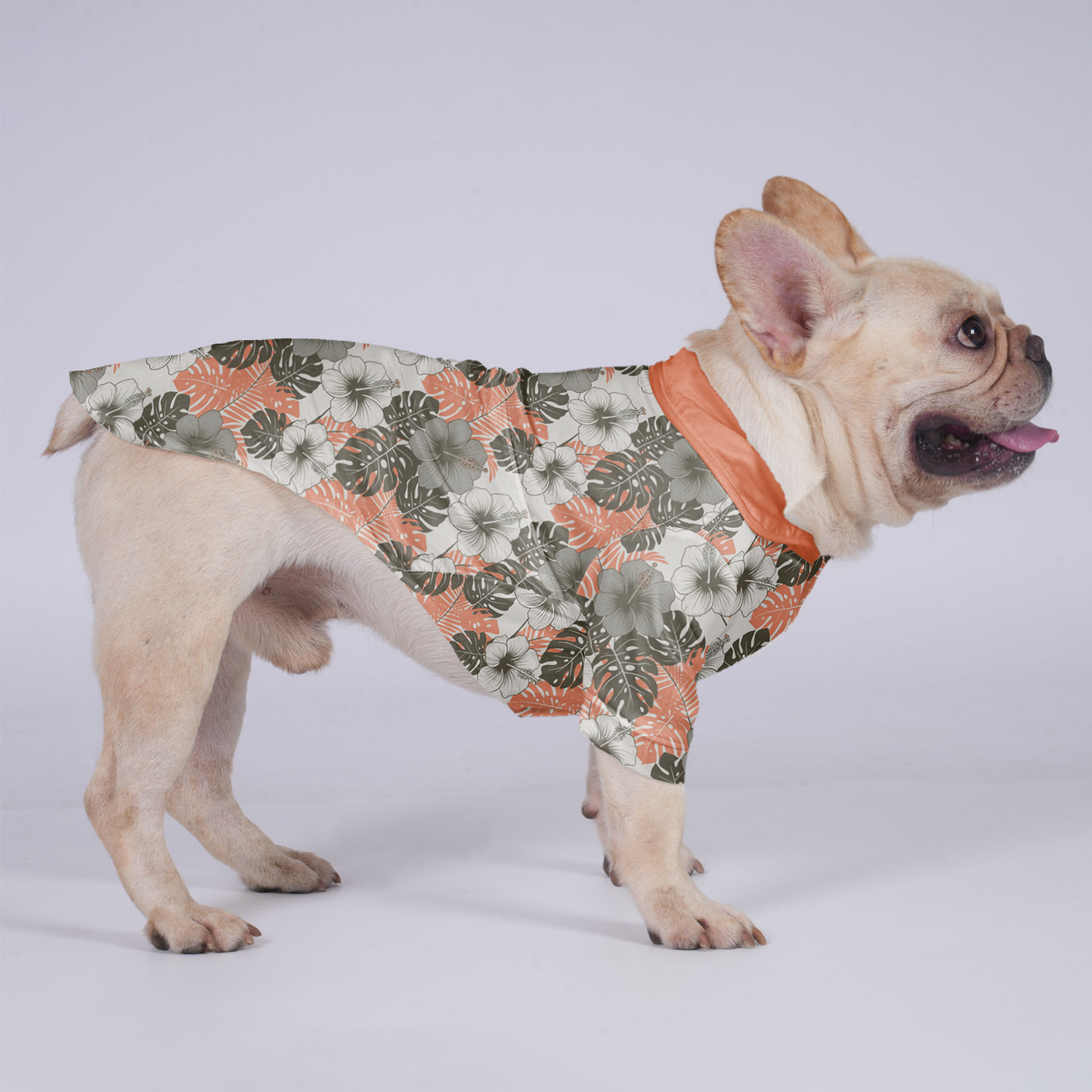 Millie - Hawaiian Shirt for Frenchies