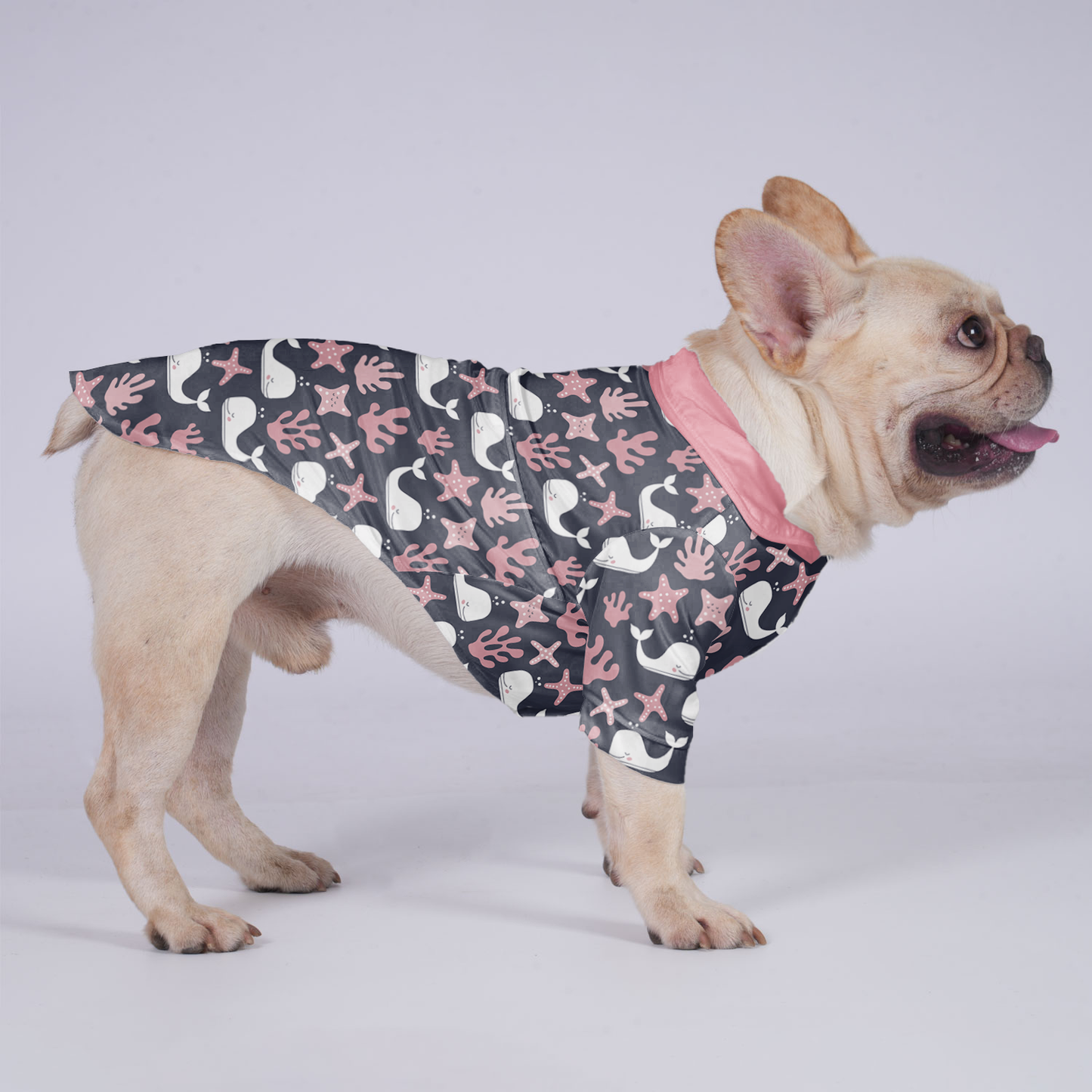 Benji - Hawaiian Shirt for Frenchies