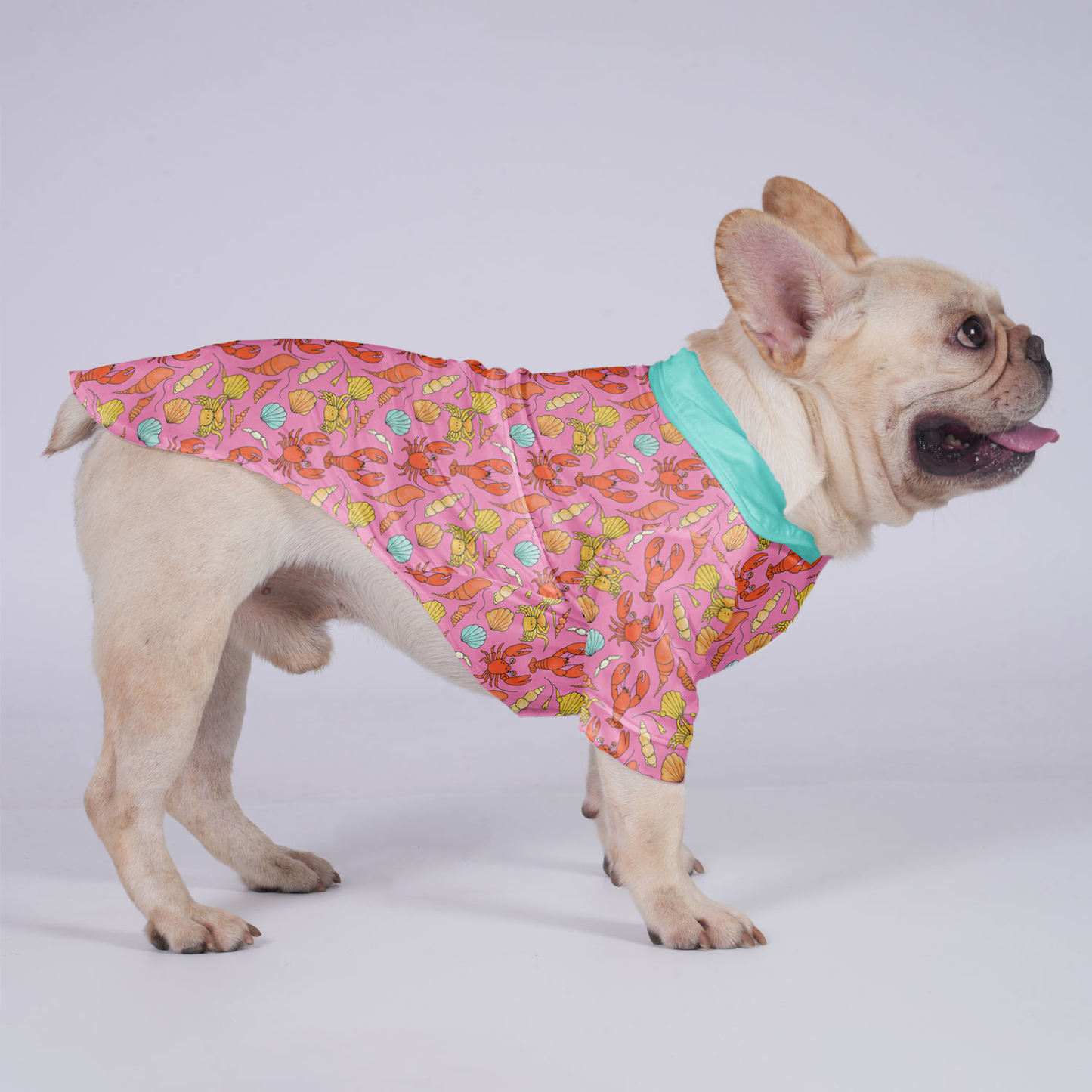 Frankie - Hawaiian Shirt for Frenchies