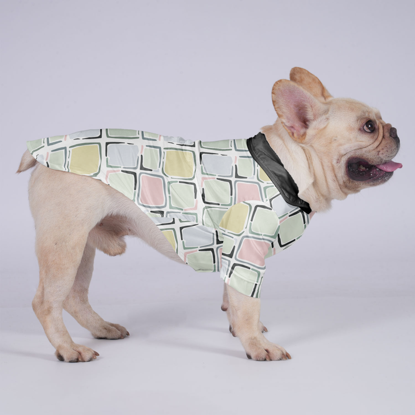 Jake - Hawaiian Shirt for Frenchies