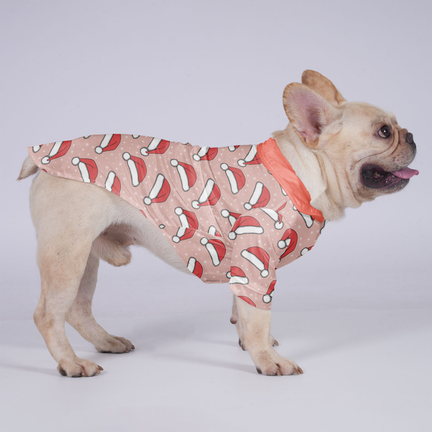 Ollie - Hawaiian Shirt for Frenchies