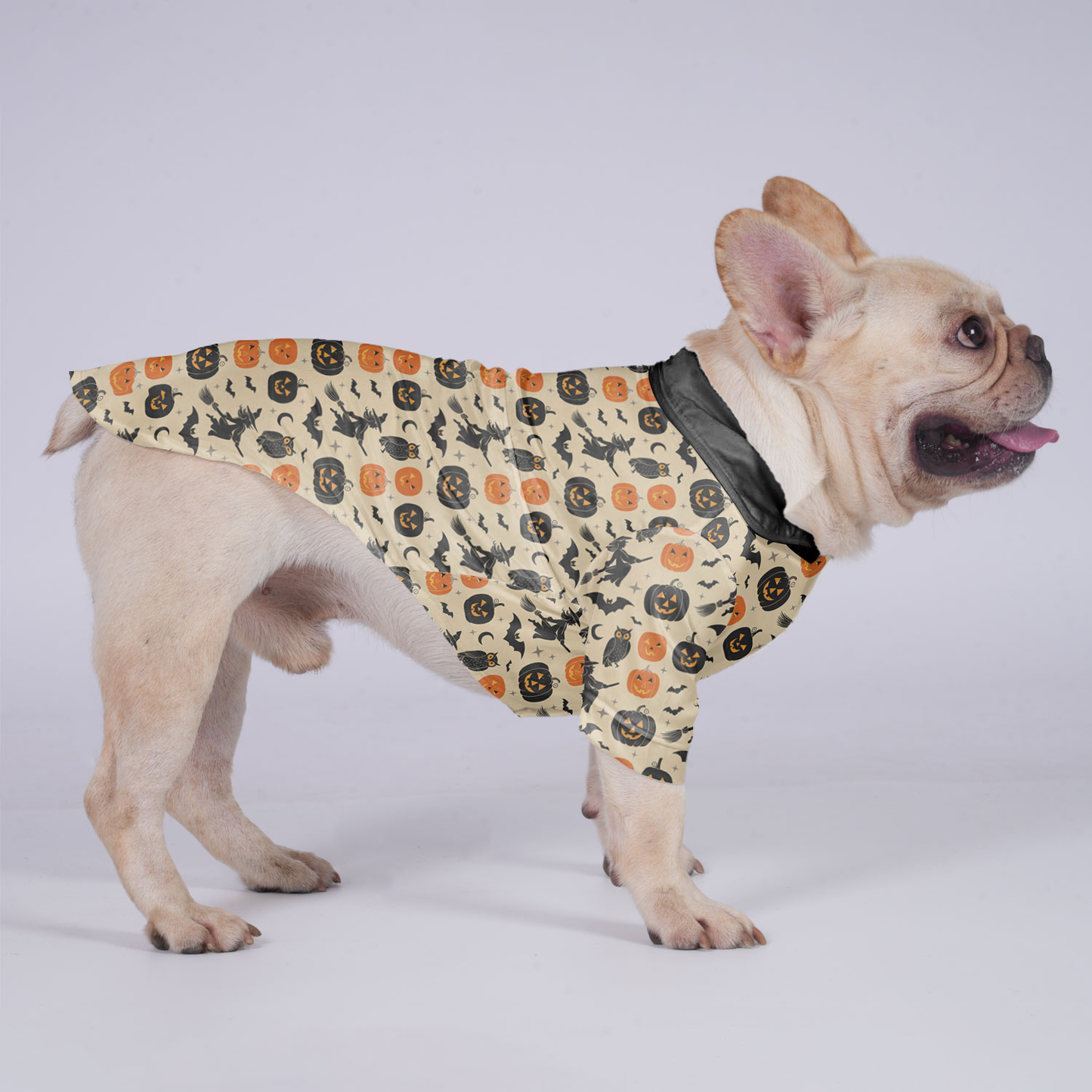 Buddy - Hawaiian Shirt for Frenchies