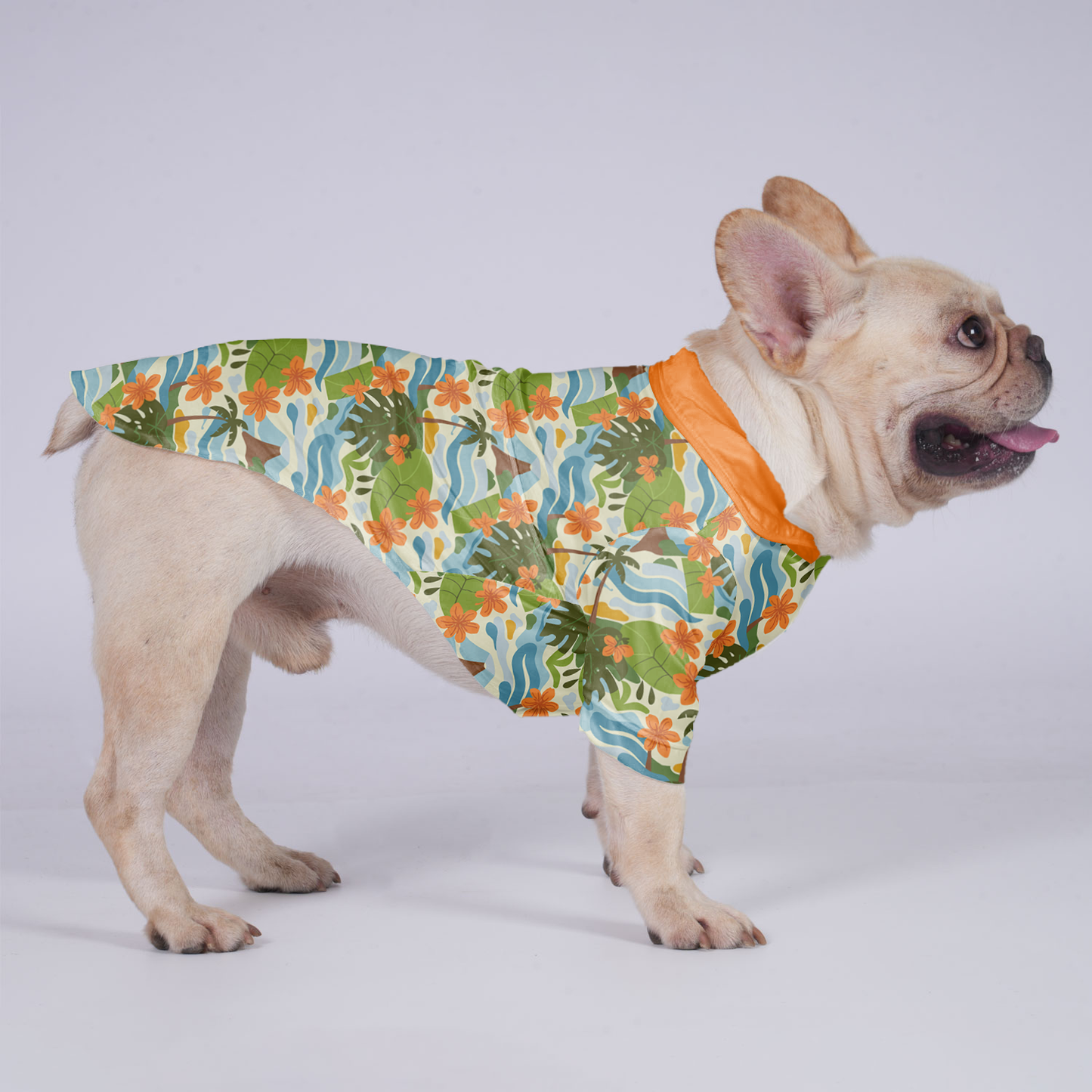 Nala - Hawaiian Shirt for Frenchies