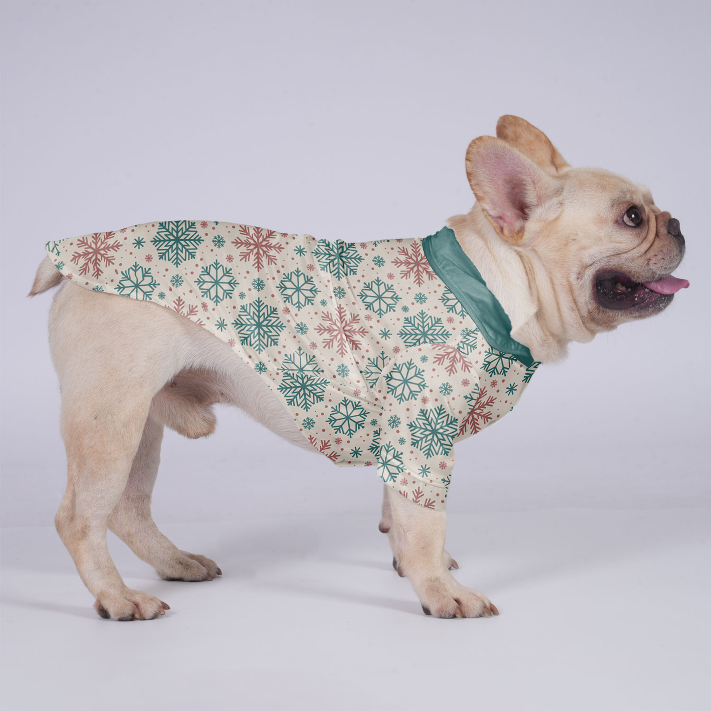 Cookie - Hawaiian Shirt for Frenchies