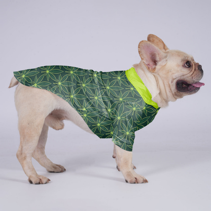 Willow - Hawaiian Shirt for Frenchies