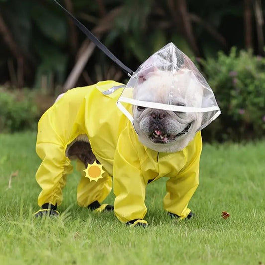 AquaTail-Frenchie-Raincoat-with-Integrated-Booties-and-Hood