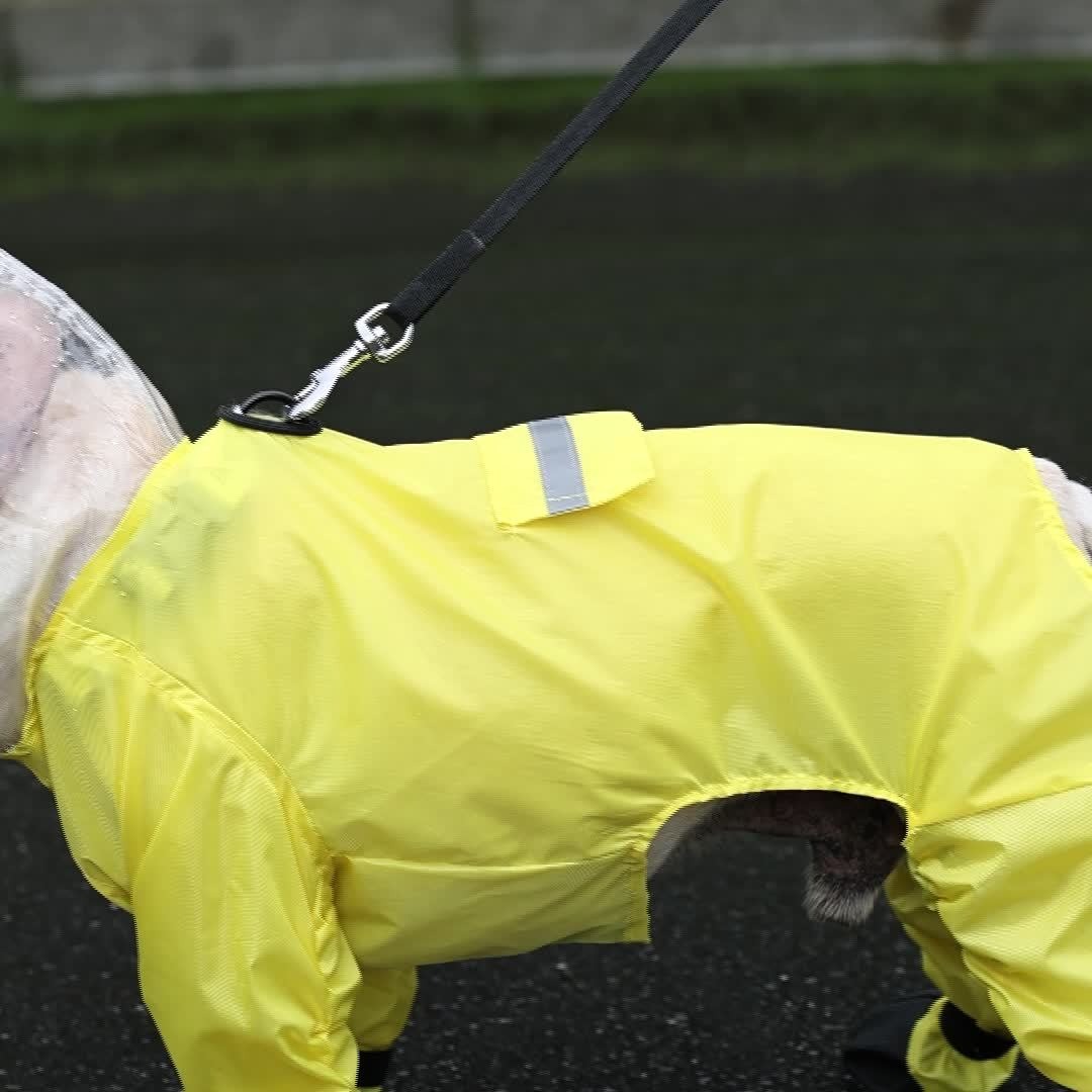 AquaTail-Frenchie-Raincoat-with-Integrated-Booties-and-Hood